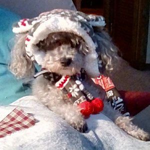 Meet your Posher, Leanne